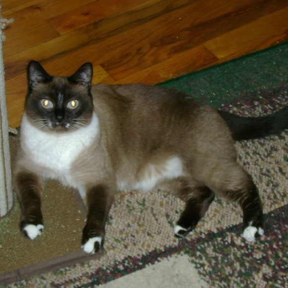 Meet your Posher, Lindsay - Picture 1 of 1